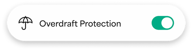 Debit cards, reloadable prepaid. No credit check, no minimums | Netspend