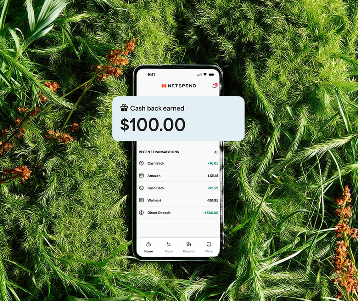 iPhone displaying $100.00 cash back earned notification.