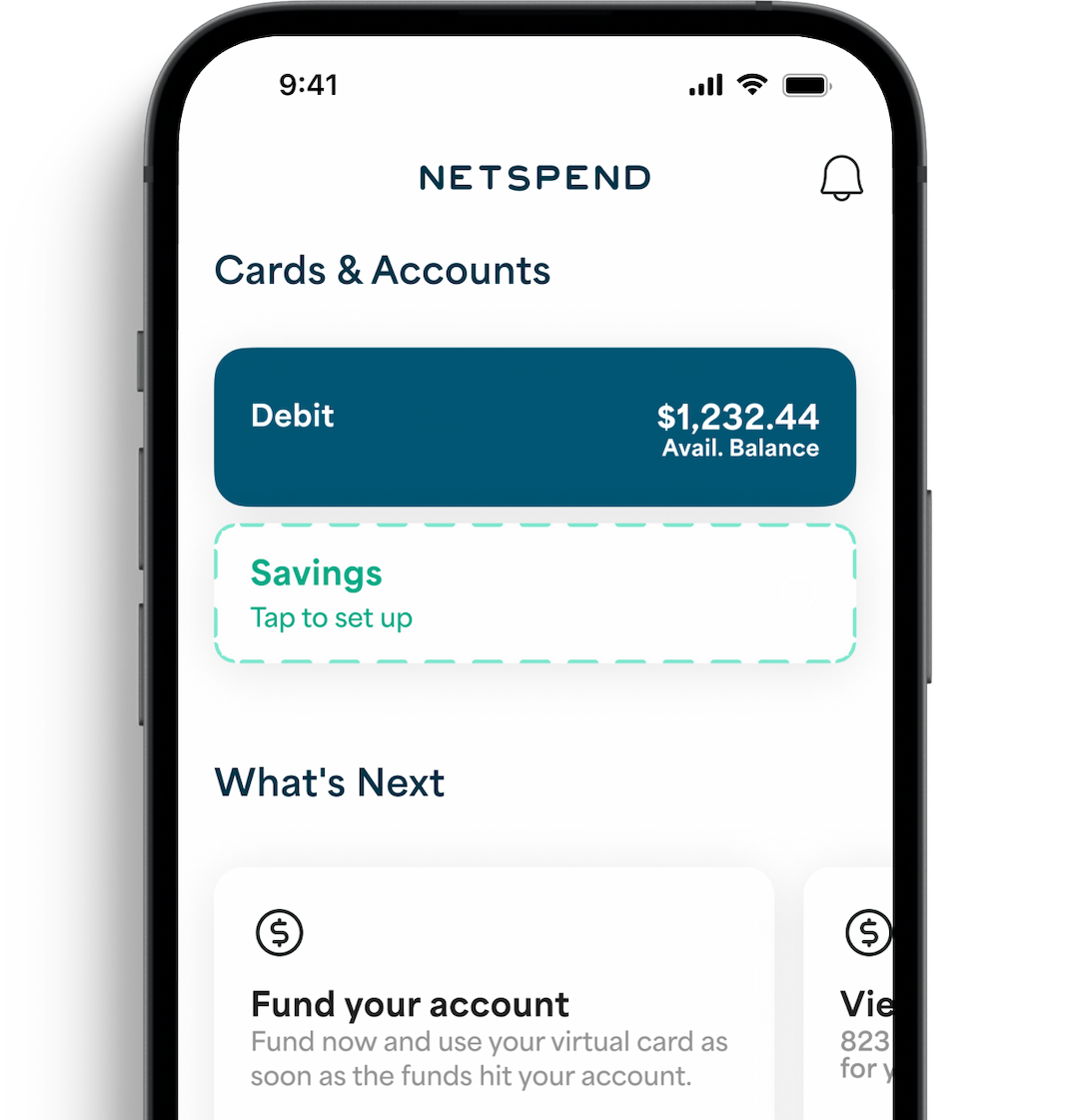 Netpsend App dashboard displayed on an iPhone